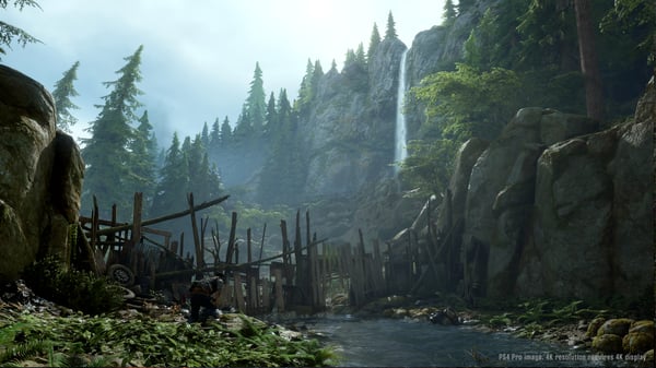 Sony Interactive Entertainment Days Gone Standard PlayStation 4