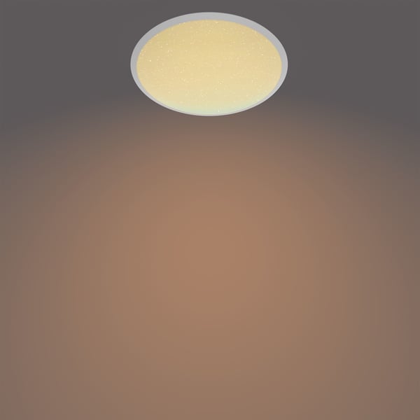 Philips Funktionel Canaval loftslampe, 12 W