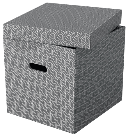 Esselte Home säilytyslaatikko Cube harmaa, 3kpl/pkt
