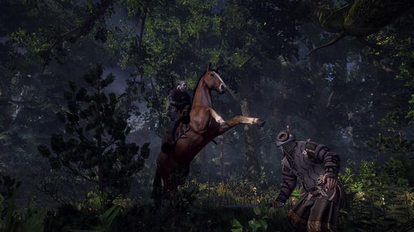 BANDAI NAMCO Entertainment The Witcher 3: Wild Hunt, Xbox One Standard Engelsk