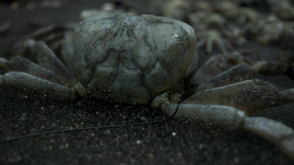 Sony Interactive Entertainment Death Stranding Vakio PlayStation 4