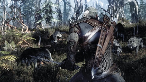 BANDAI NAMCO Entertainment The Witcher 3: Wild Hunt, Xbox One Standard Engelsk