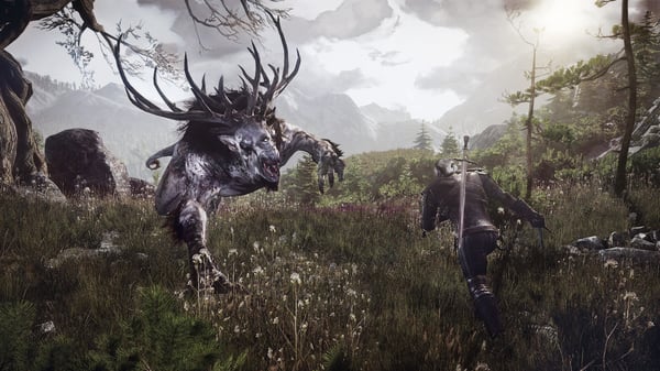 BANDAI NAMCO Entertainment The Witcher 3: Wild Hunt, Xbox One Standard Engelsk