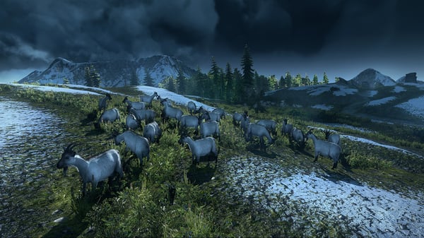 BANDAI NAMCO Entertainment The Witcher 3: Wild Hunt, Xbox One Standard Engelsk