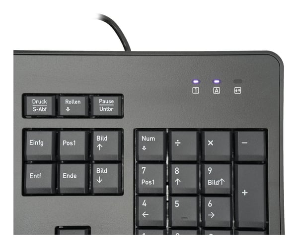 TERRA 1500 tastatur Mus inkluderet Kontor USB QWERTZ Tysk Sort
