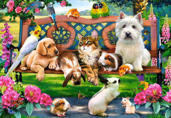 Castorland Pets in the Park 1000 pcs Puslespil 1000 stk Dyr
