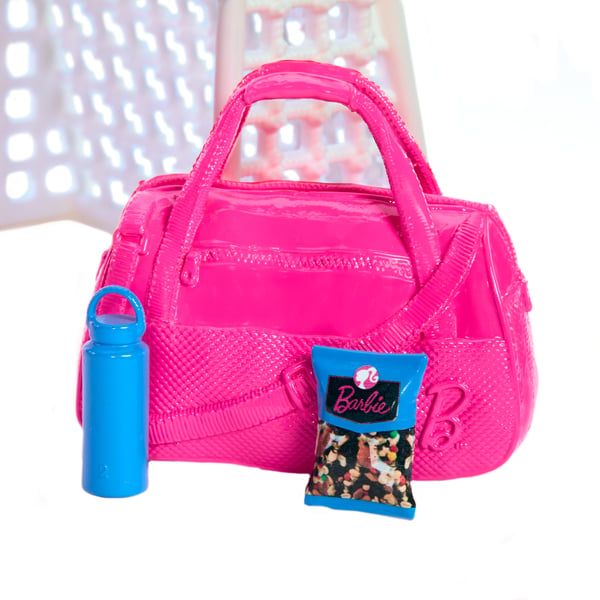 Barbie Dolls and Accessories