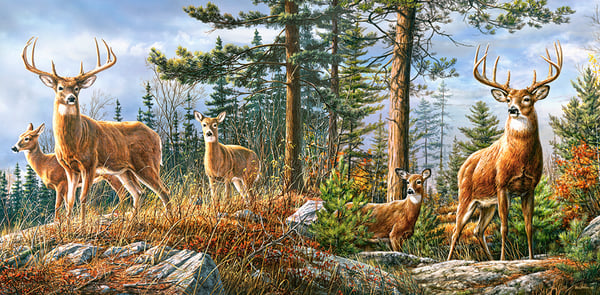 Pussel 4000 Kunglig Hjortfamilj CASTOR