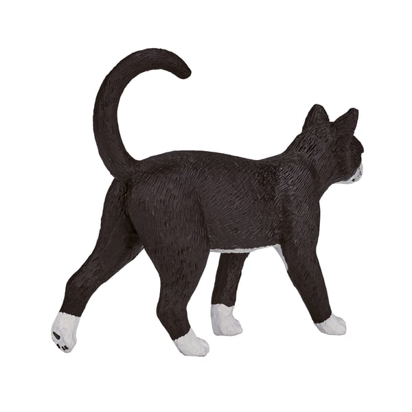 Mojo Fun Cat