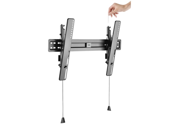 Equip 650317 tv-beslag 177,8 cm (70") Sort
