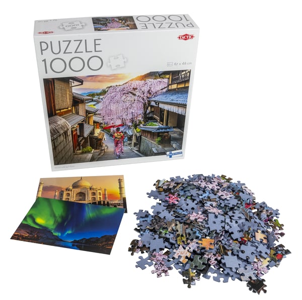 Tactic Puzzle Lovers Woman walking in Kyoto 1000 pcs puzzle