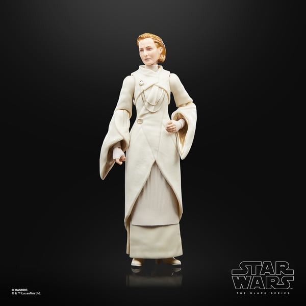 Star Wars The Black Series F55305X0 toy figure