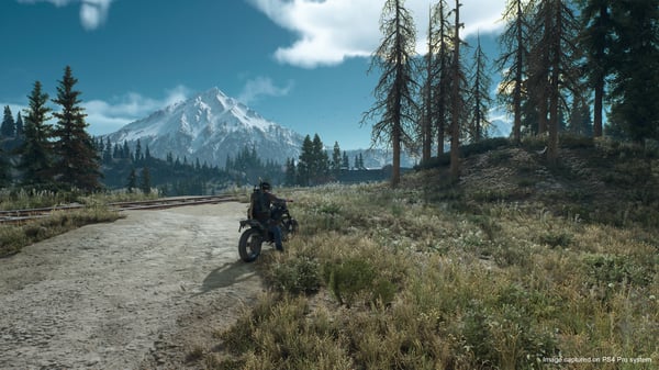 Sony Interactive Entertainment Days Gone Standard PlayStation 4