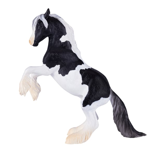 Mojo Fun Irish Cob Stallion