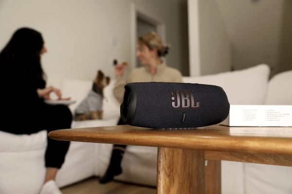 JBL Charge 5 Harmaa