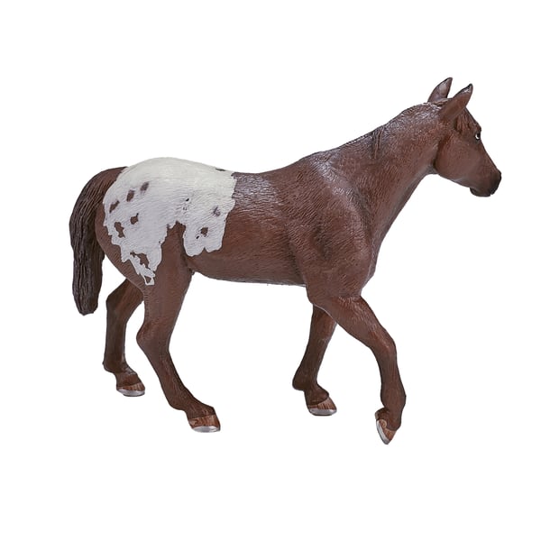 Mojo Fun Appaloosa Stallion Chestnut