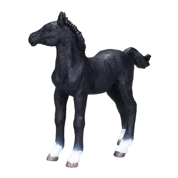 Mojo Fun Hanoverian Foal Black