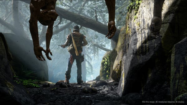 Sony Interactive Entertainment Days Gone Standard PlayStation 4