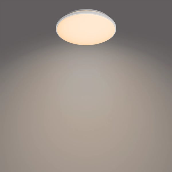Philips Toiminnollinen Wincel kattovalaisin 24W