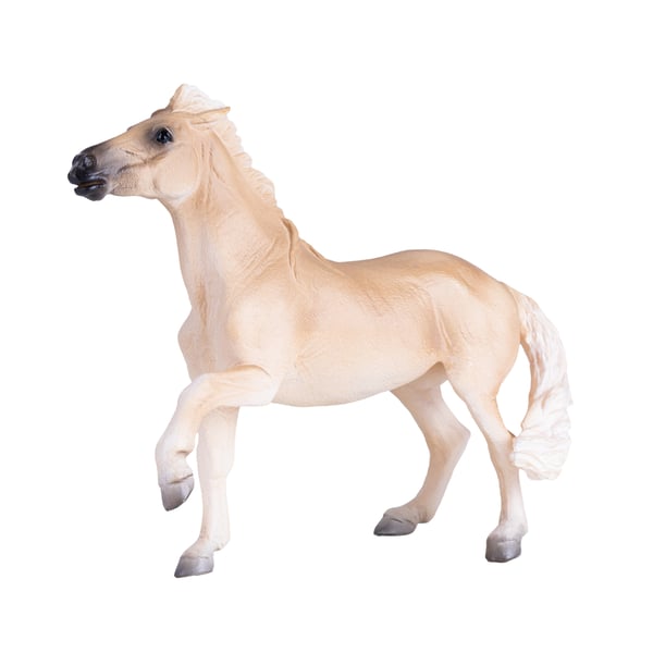 Mojo Fun Brumby Mare