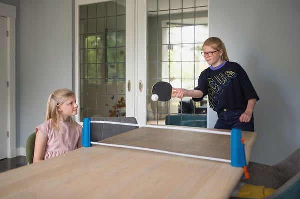 BS Toys GA386 bordtennisbord Blå, Grå