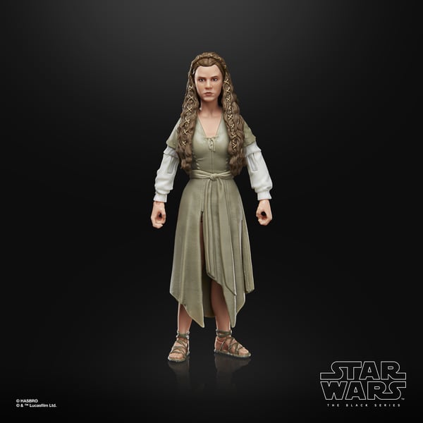 Star Wars The Black Series F43525X0 toy figure