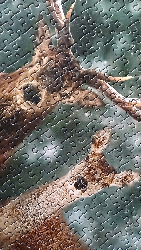 Tactic Puzzle Lovers Noble Deer 500 pcs puzzle