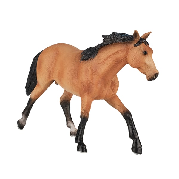Mojo Fun Quarter Horse Buckskin