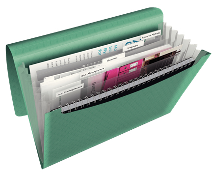 Esselte Colour'Breeze ekspanderende projektmappe