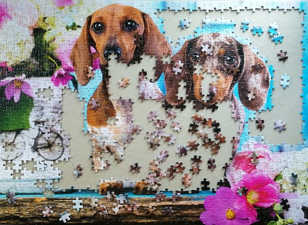 Tactic Dashing Dacshunds 1000 pcs Puslespil 1000 stk Dyr