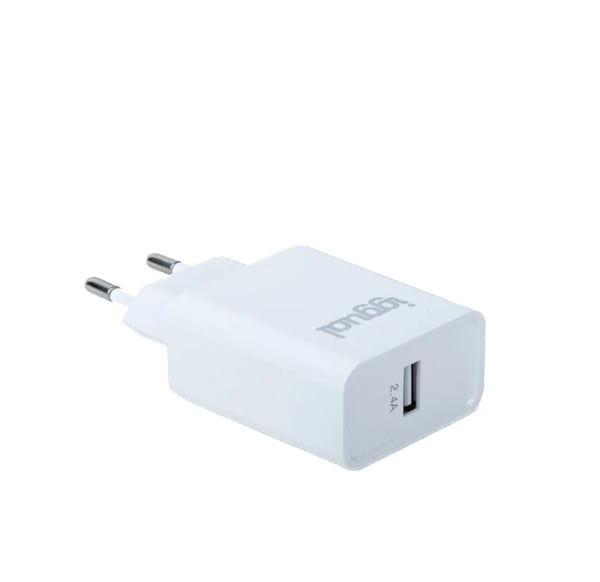 iggual IGG318188 oplader til mobil enhed Universel Hvid Vekselstrøm Indendørs