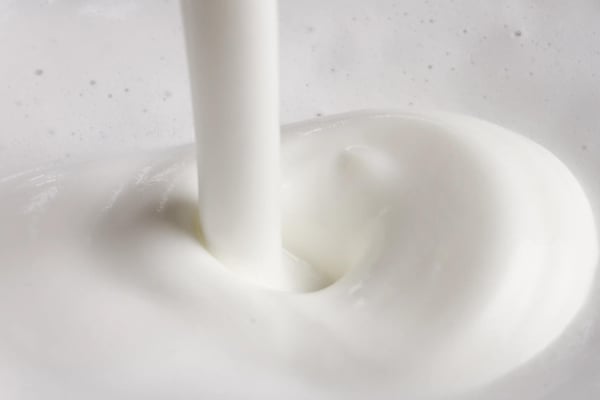 Senseo Milk Twister CA6500/60 Mjölkskummare