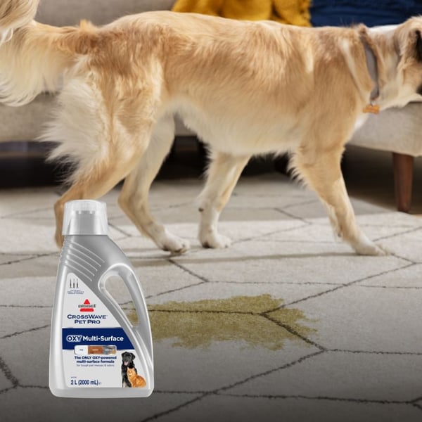 Bissell CrossWave Pet Pro Oxy Puhdistusaine Sauvaimuri