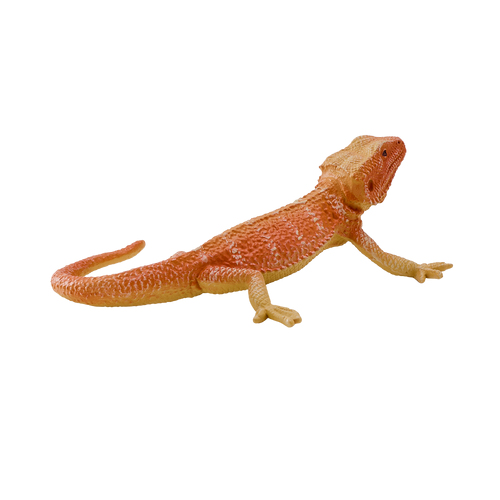 Mojo Fun Bearded Dragon