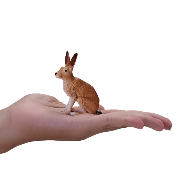 Mojo Fun Hare