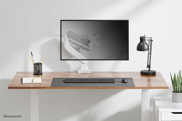 Neomounts DS70-450WH1 monitorin kiinnike ja jalusta 106,7 cm (42") Vastaanotto Valkoinen