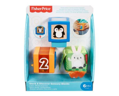 Fisher-Price GJW13 utbildningsleksaker