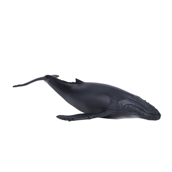 Mojo Fun Humpback Whale