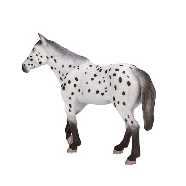Mojo Fun Appaloosa Stallion
