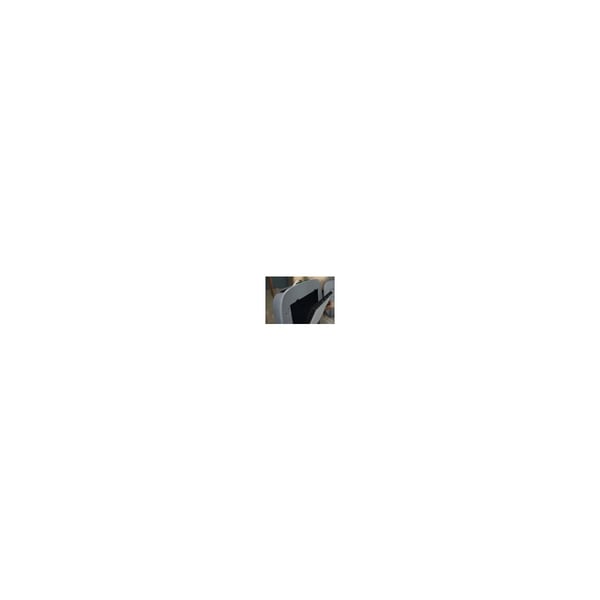 Electrolux EFWBTH3 Luftrenarfilter