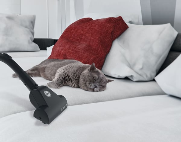 Hoover Brave BV60PET 011 2,5 L Beholder vakuum Dry 700 W Støvpose