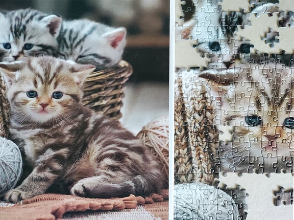 Tactic Cute Kittens 1000 pcs Puslespil 1000 stk Dyr