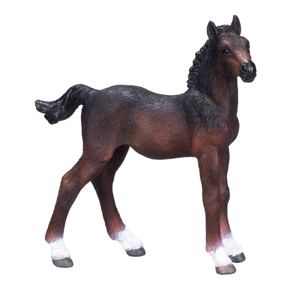 Mojo Fun Hanoverian Foal Bay