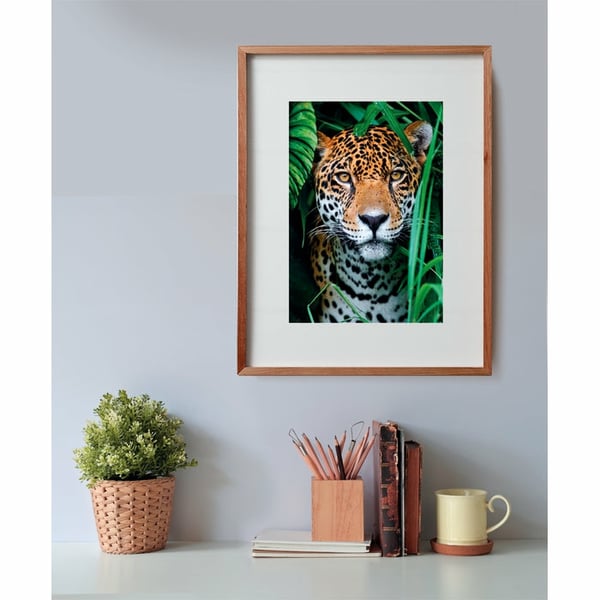 Clementoni High Quality Collection Jaguar in the Jungle Puslespil 500 stk Dyr
