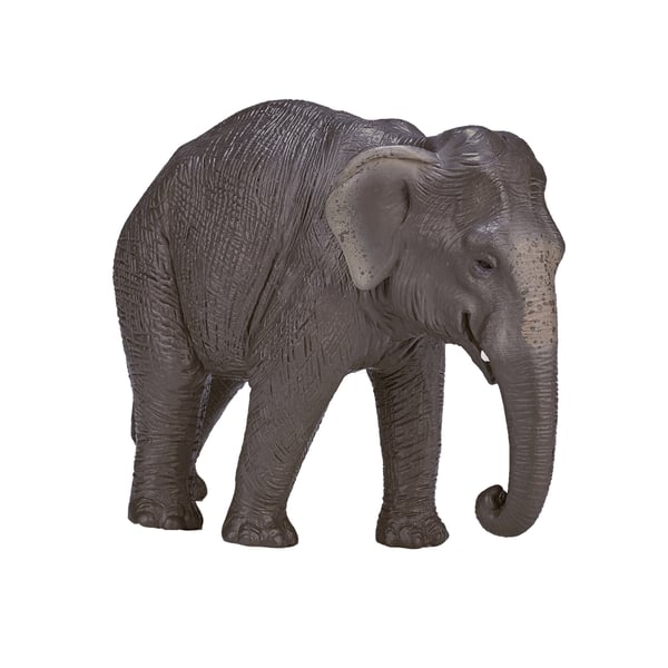 Mojo Fun Asian Elephant