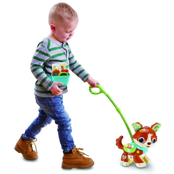 VTech Baby TITOU, MON TOUTOU BALADE MAGIQUE