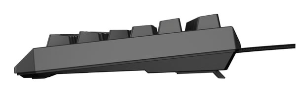 GENESIS Thor 230 TKL tastatur Spil USB QWERTY US engelsk Sort