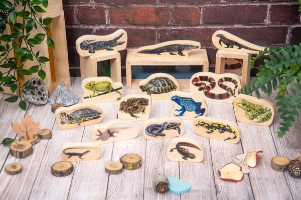 Tickit Wooden Reptile & Amphibian Blocks