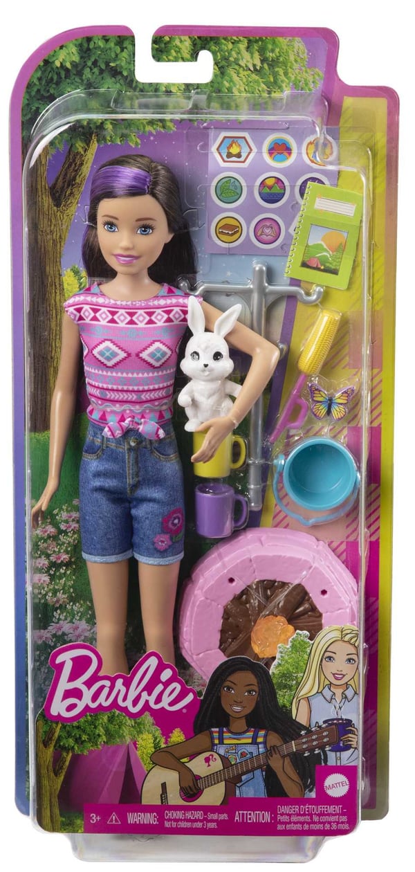 Barbie Dreamhouse Adventures Doll and Accessories