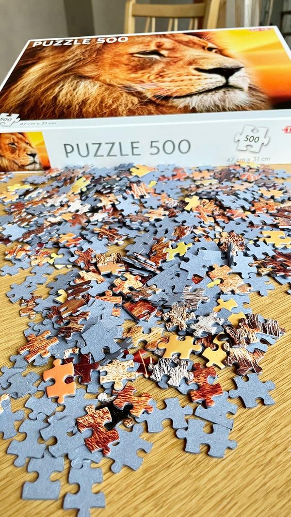Tactic African Lion 500 pcs Pussel 500 styck Djur